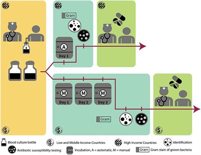 Best Practices of Blood Cultures in Low- and Middle-Income Countries